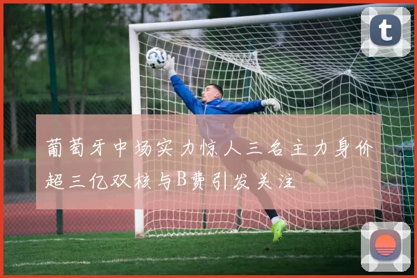 葡萄牙中场实力惊人三名主力身价超三亿双核与B费引发关注